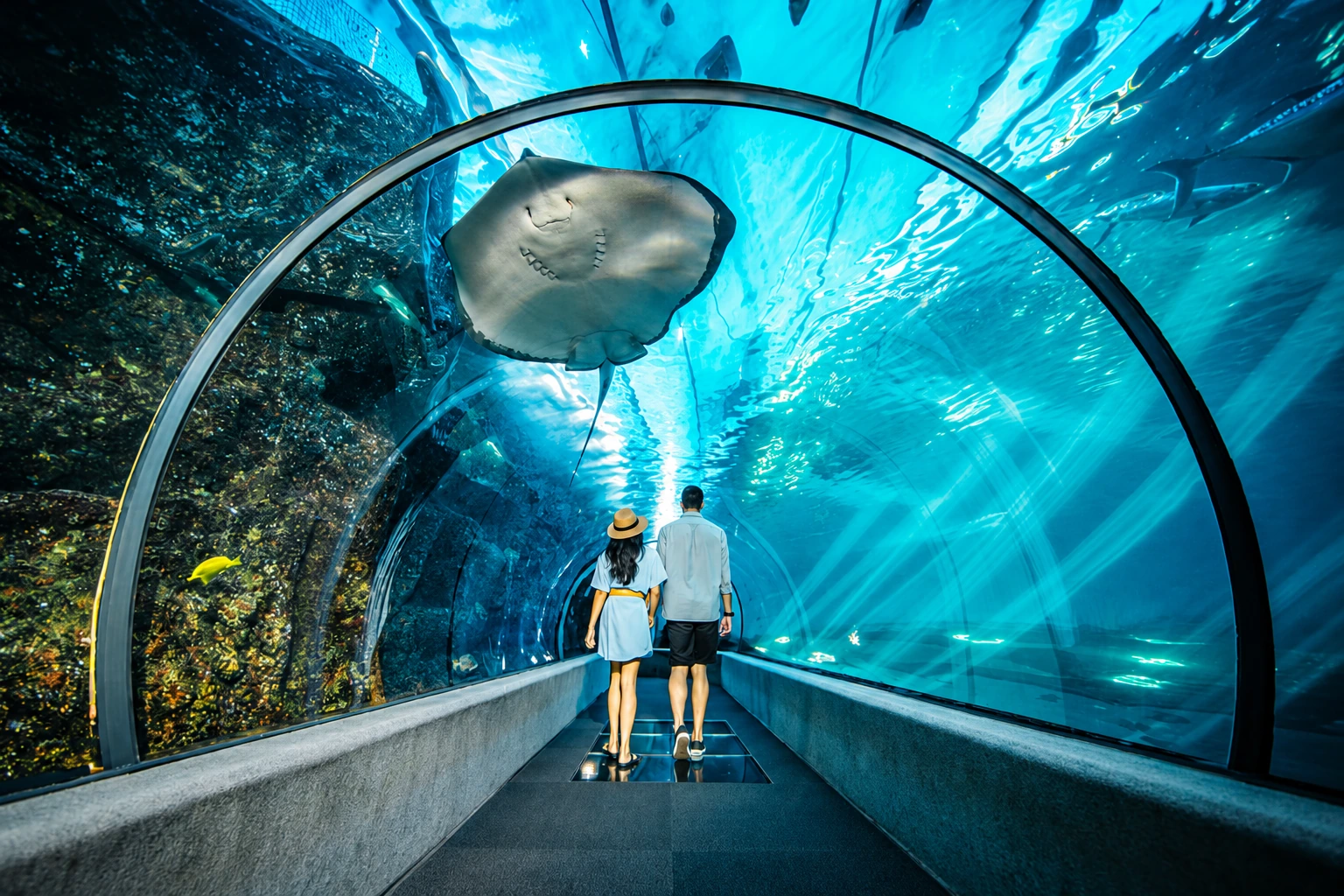 Visitors walking through an aquarium tunnel beneath a ray