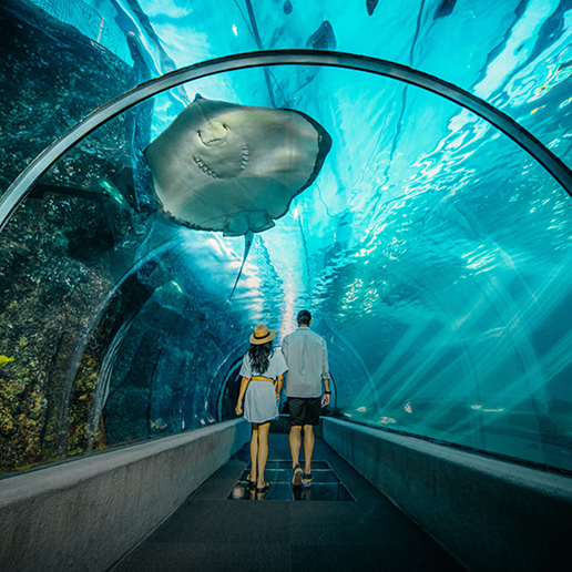 Events & Attractions imagery from the current PARKLINQ website